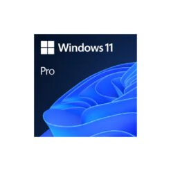 WINDOWS 11 PRO 64 BIT (ESD,FQC-10572)