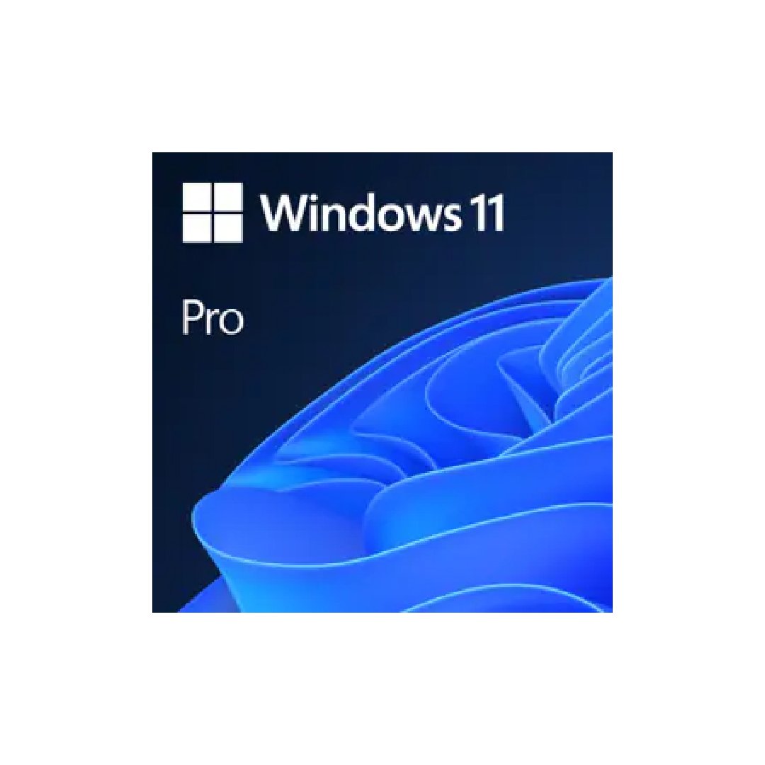 WINDOWS 11 PRO 64 BIT (ESD,FQC-10572)