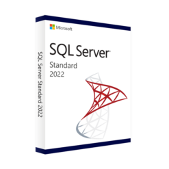 Microsoft SQL Server 2022 Standard Edition (80J-0002)